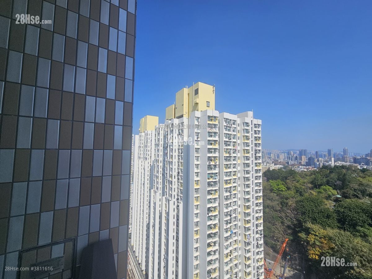 Belgravia Place 租盘 1 房 , 1 浴室 265 平方尺