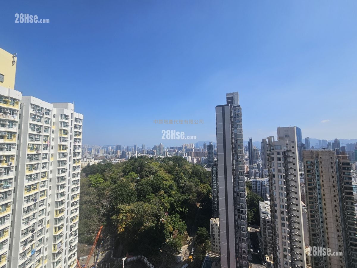 Belgravia Place 租盘 1 房 , 1 浴室 265 平方尺