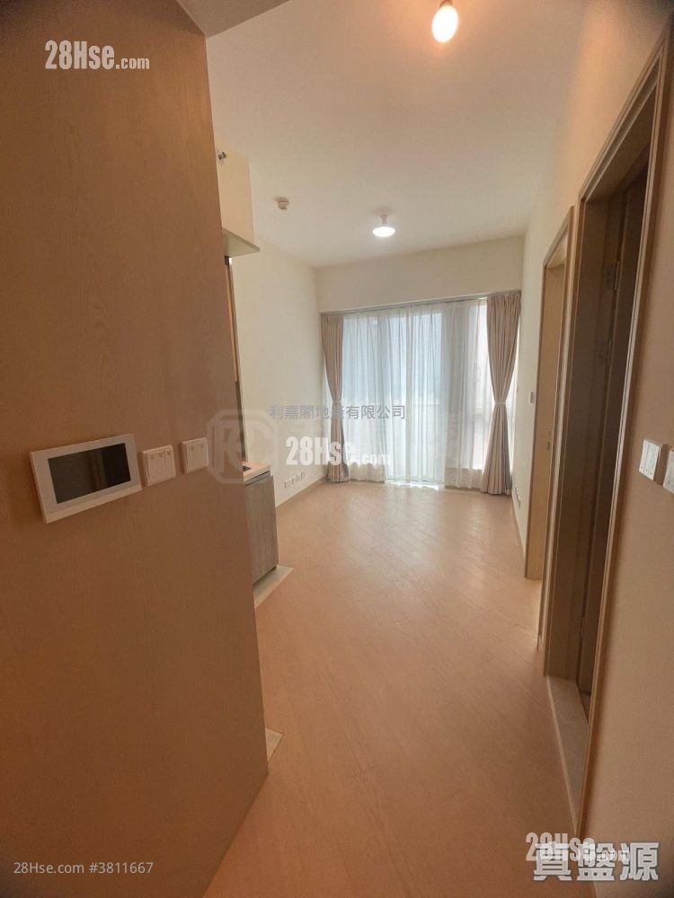 维港滙 售盘 1 房 320 平方尺