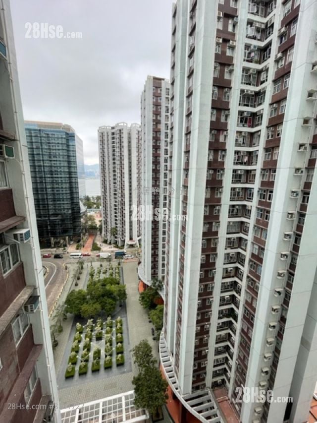 Taikoo Shing Rental 582 ft²