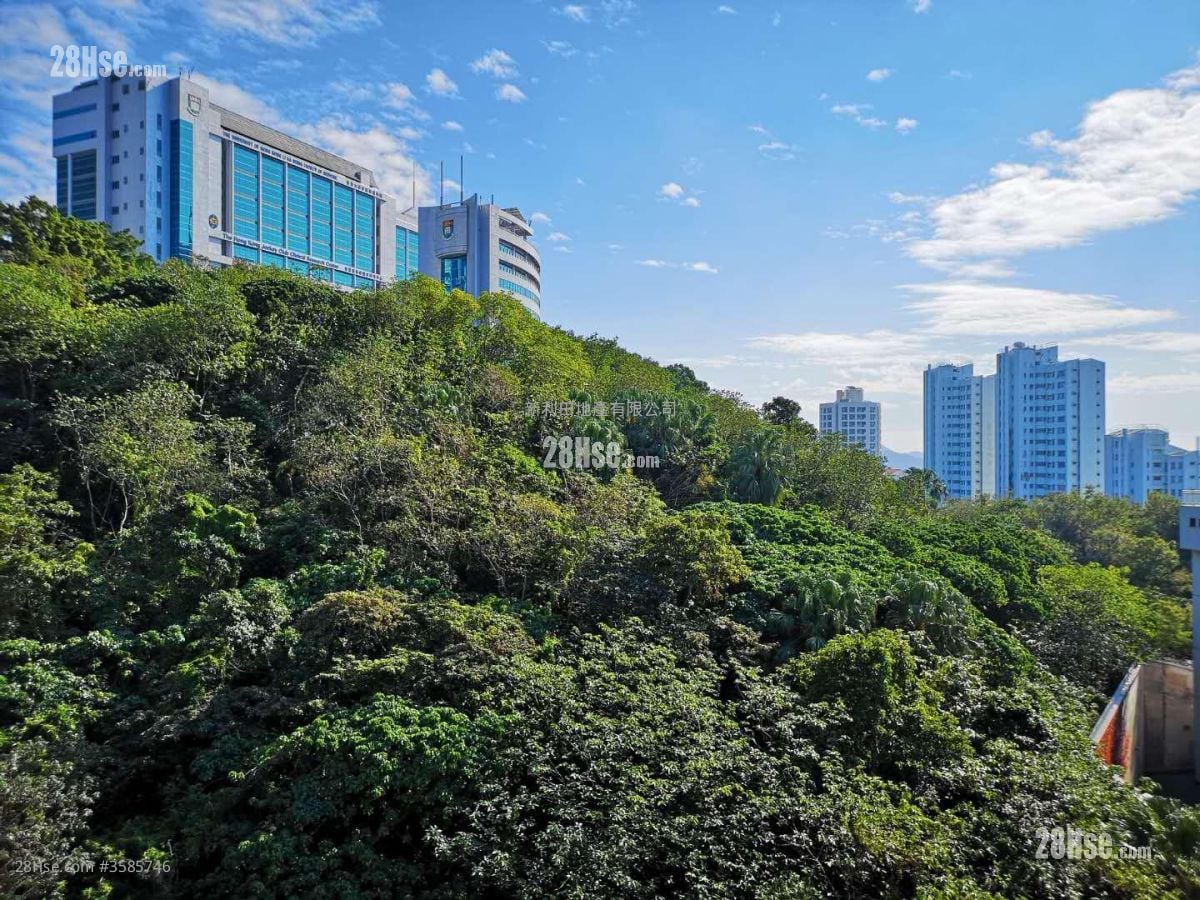 帝柏園 租盤 3 房 , 2 浴室 1,610 平方呎