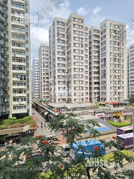 Whampoa Garden Sell 2 Bedrooms 466 ft²