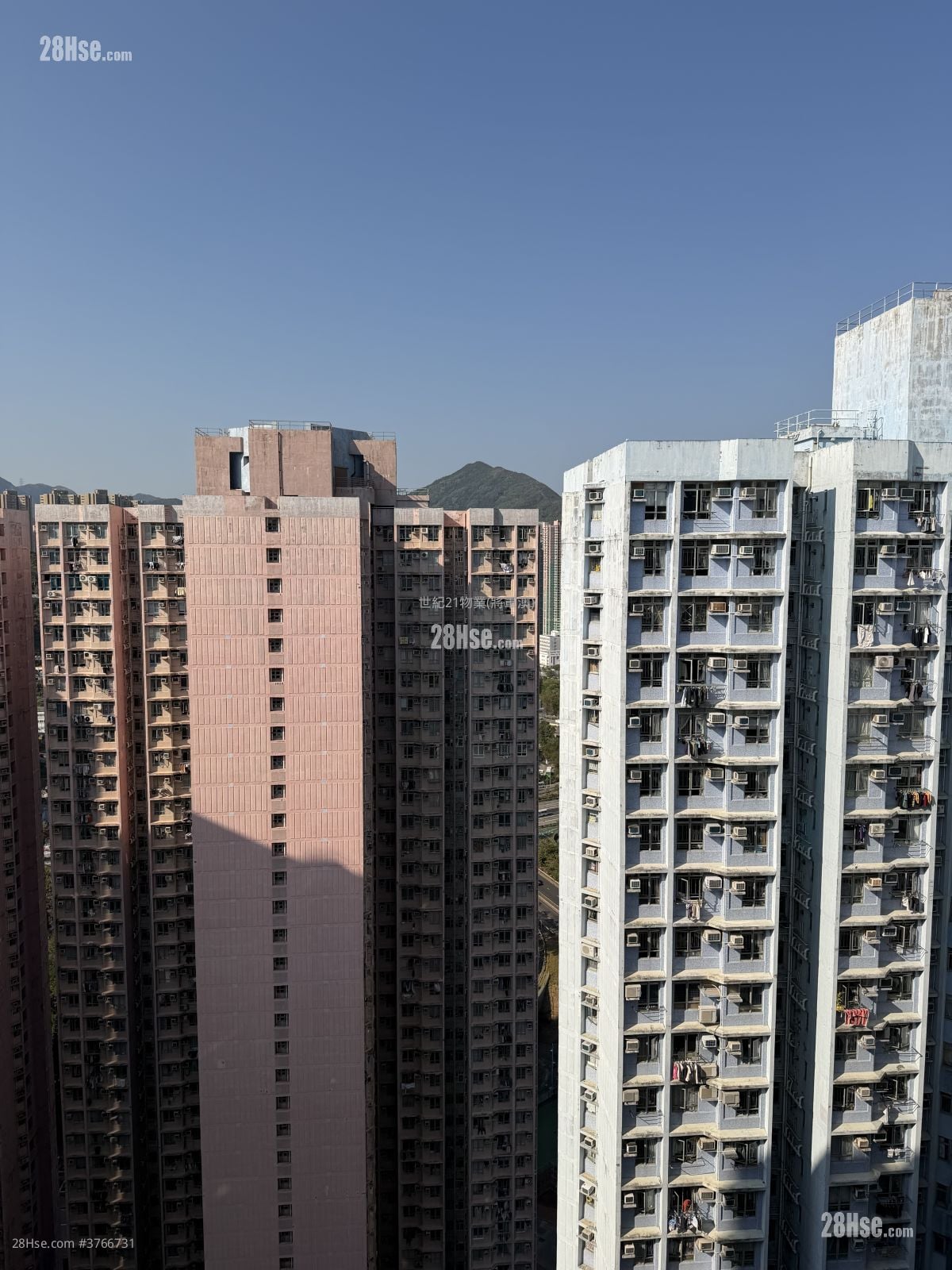 广明苑 售盘 593 平方尺