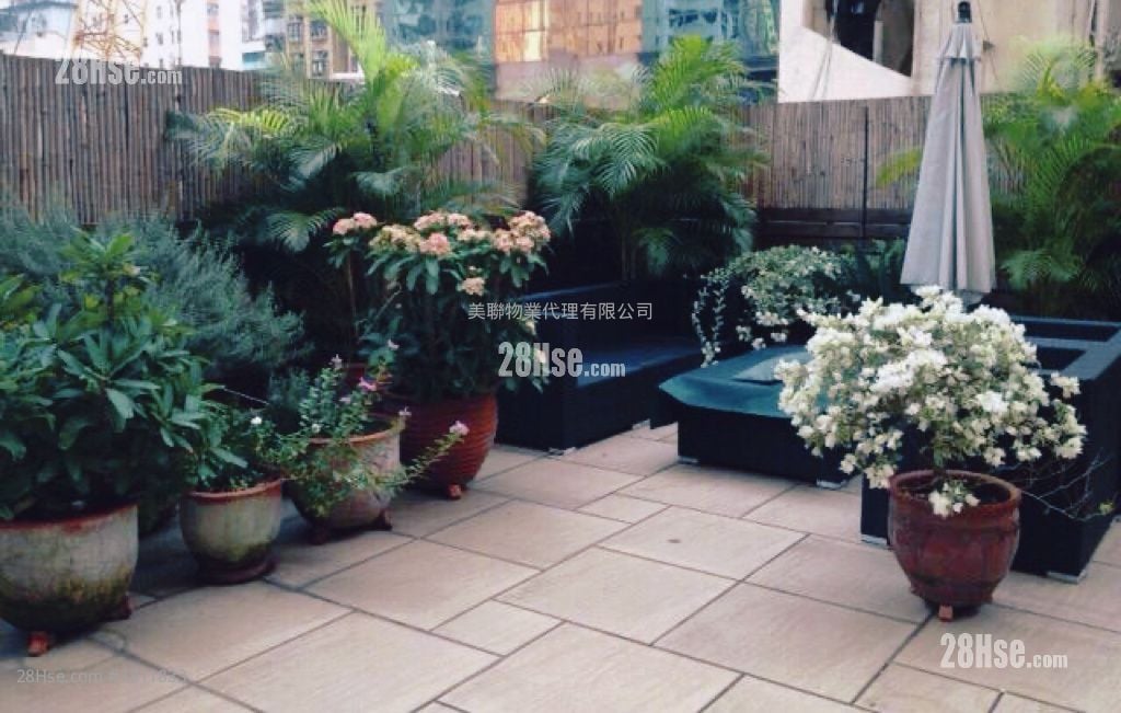 丰盛大厦 售盘 开放式间隔 , 1 浴室 381 平方尺