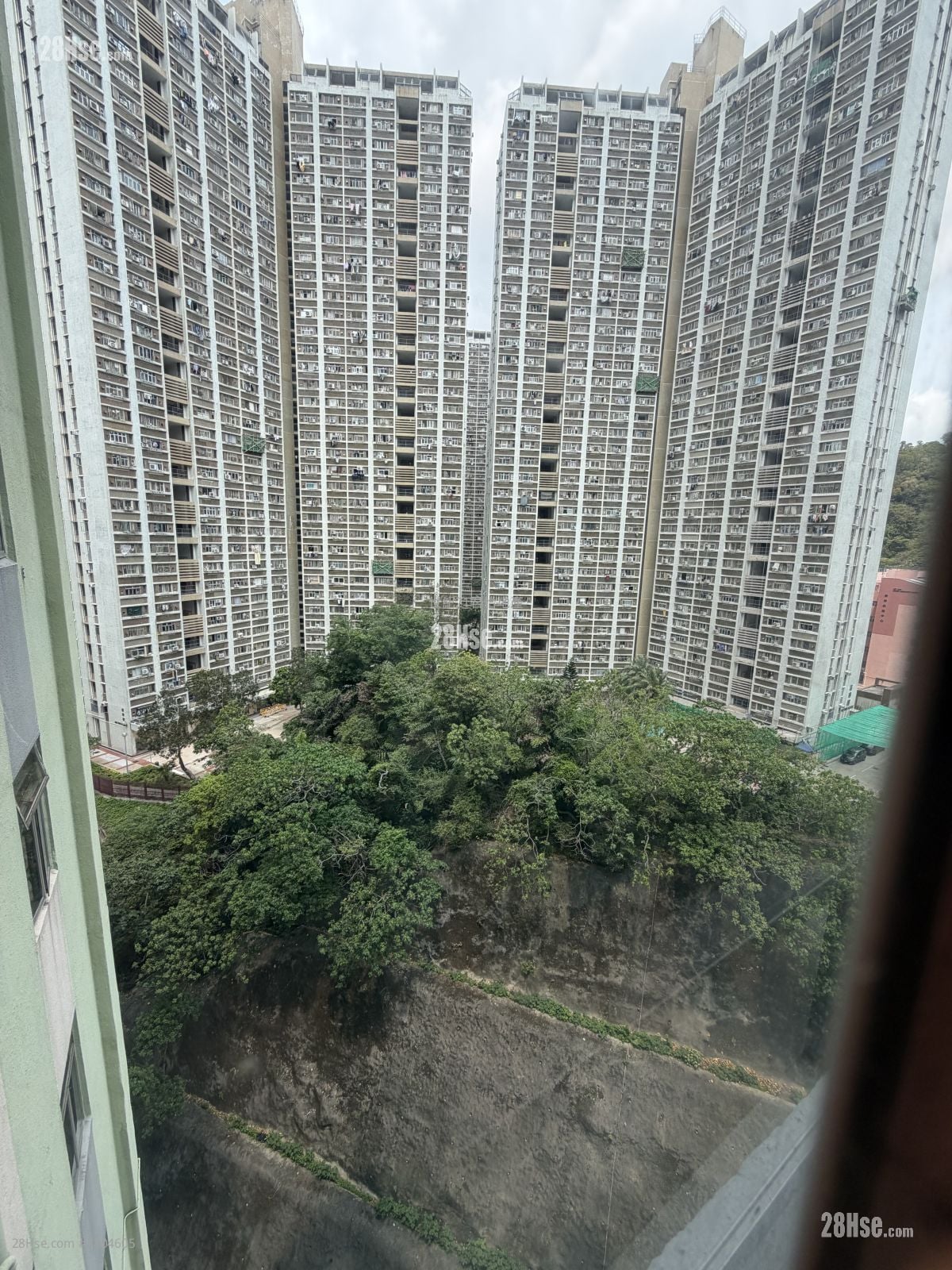 Connie Towers Rental 2 Bedrooms , 1 Bathroom 440 ft²