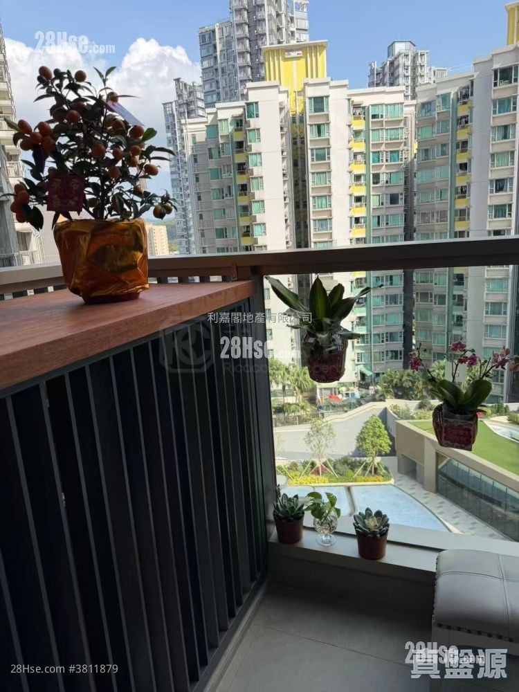 朗天峰 售盘 1 房 285 平方尺