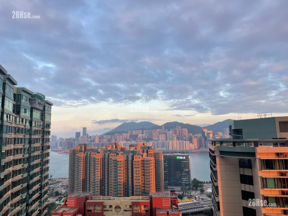 半岛豪庭 租盘 1 房 , 1 浴室 517 平方尺