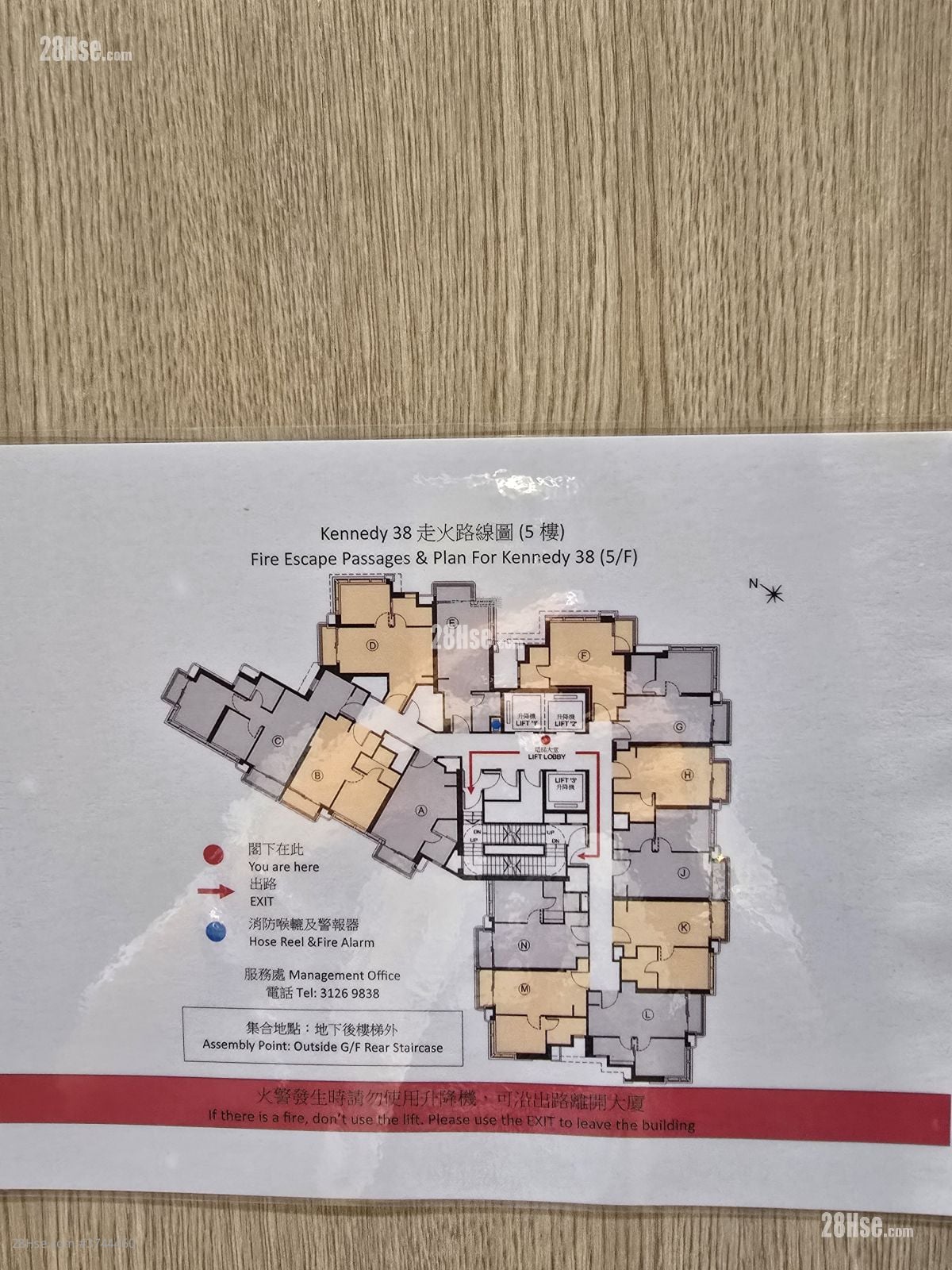 Kennedy 38 租盘 开放式间隔 , 1 浴室 264 平方尺