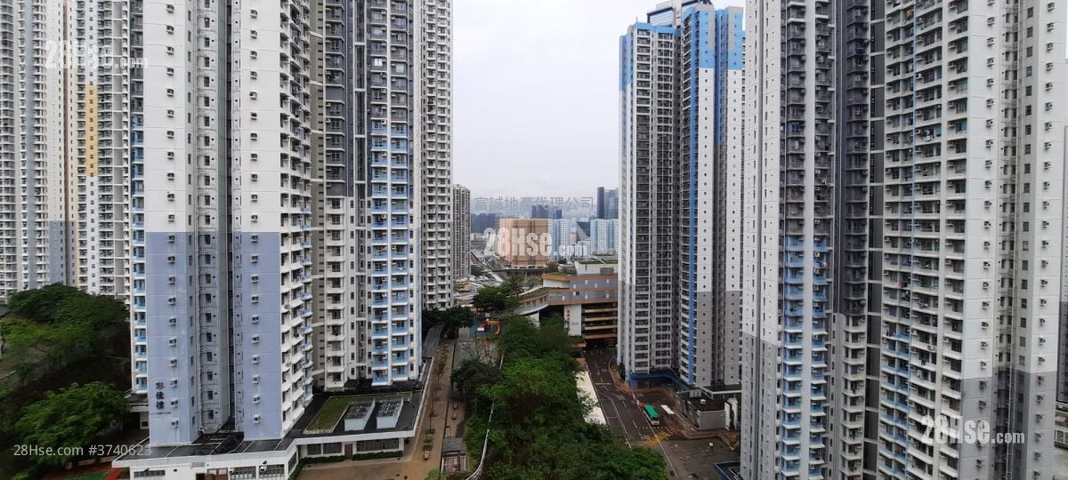Choi Hing Court Sell 2 Bedrooms , 1 Bathroom 452 ft²