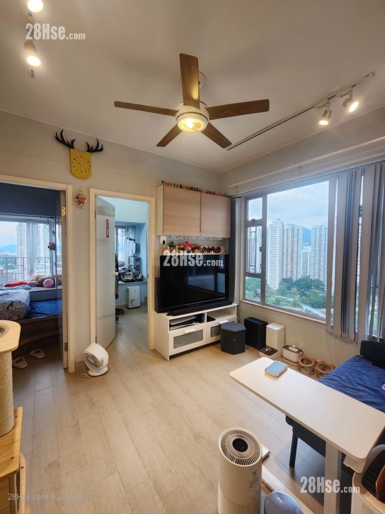 大埔中心 租盘 3 房 384 平方尺