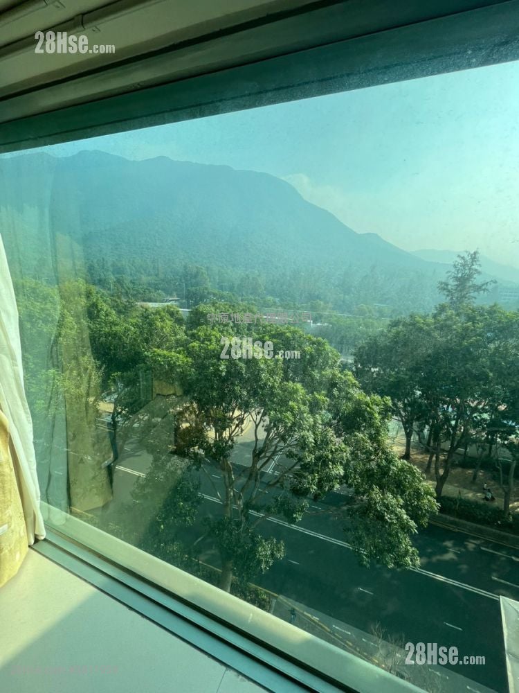 蓝天海岸 售盘 1 房 , 1 浴室 388 平方尺