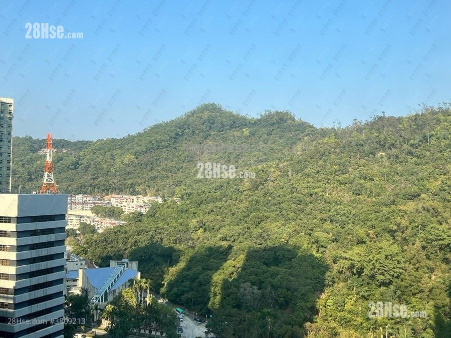 浩明苑 售盘 2 房 489 平方尺