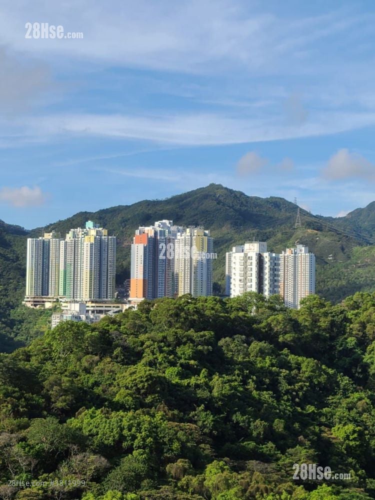 Belair Gardens Sell 2 Bedrooms , 1 Bathroom 560 ft²