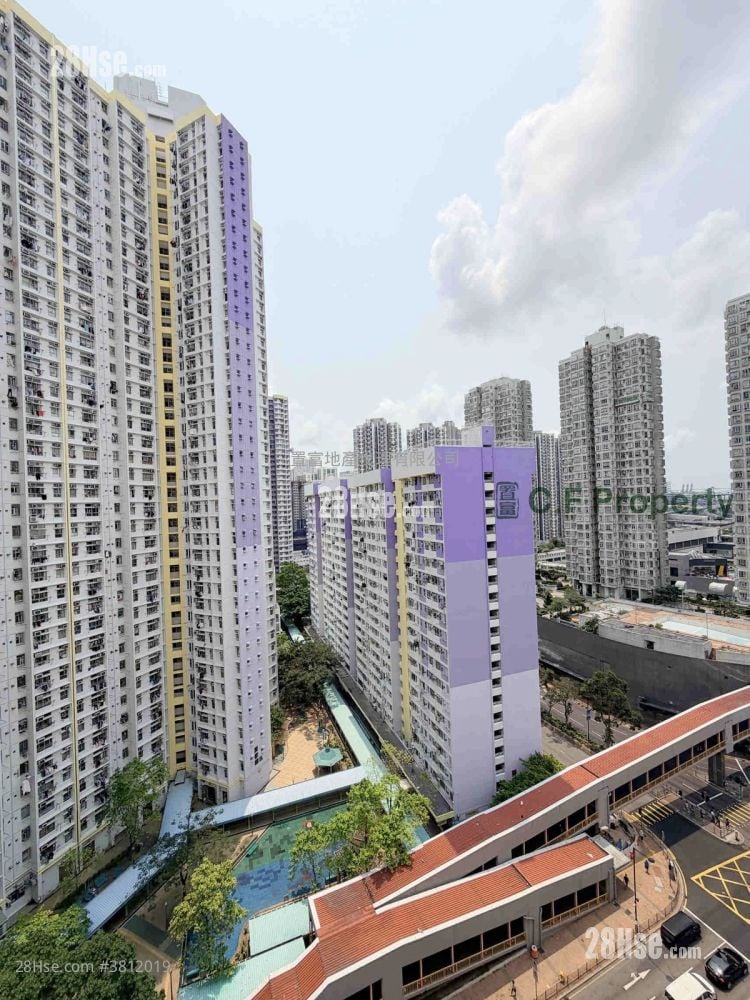 单幢楼房 租盘 3 房 , 1 浴室 435 平方尺