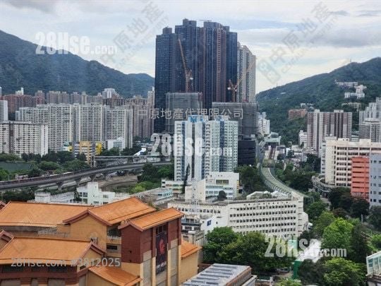 希尔顿中心 售盘 1 房 274 平方尺