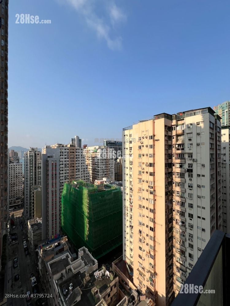 形品 租盘 开放式间隔 , 1 浴室 300 平方尺