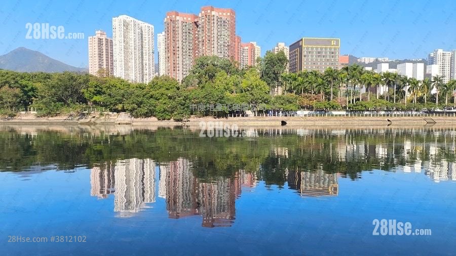 新城市广场 售盘 3 房 640 平方尺