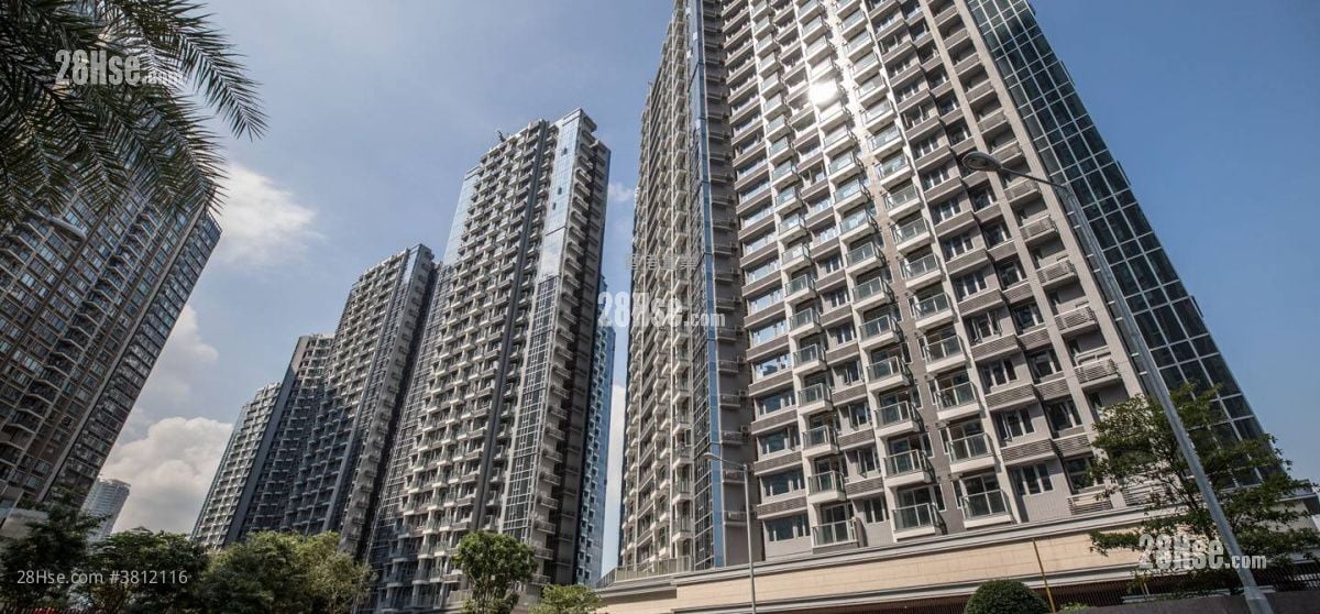 Century Link Rental 2 Bedrooms , 1 Bathroom 484 ft²