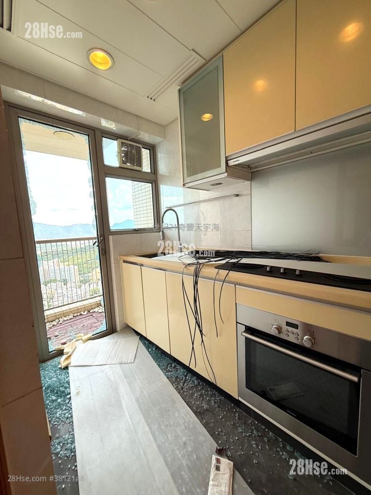 Jimmy豆生 63460809