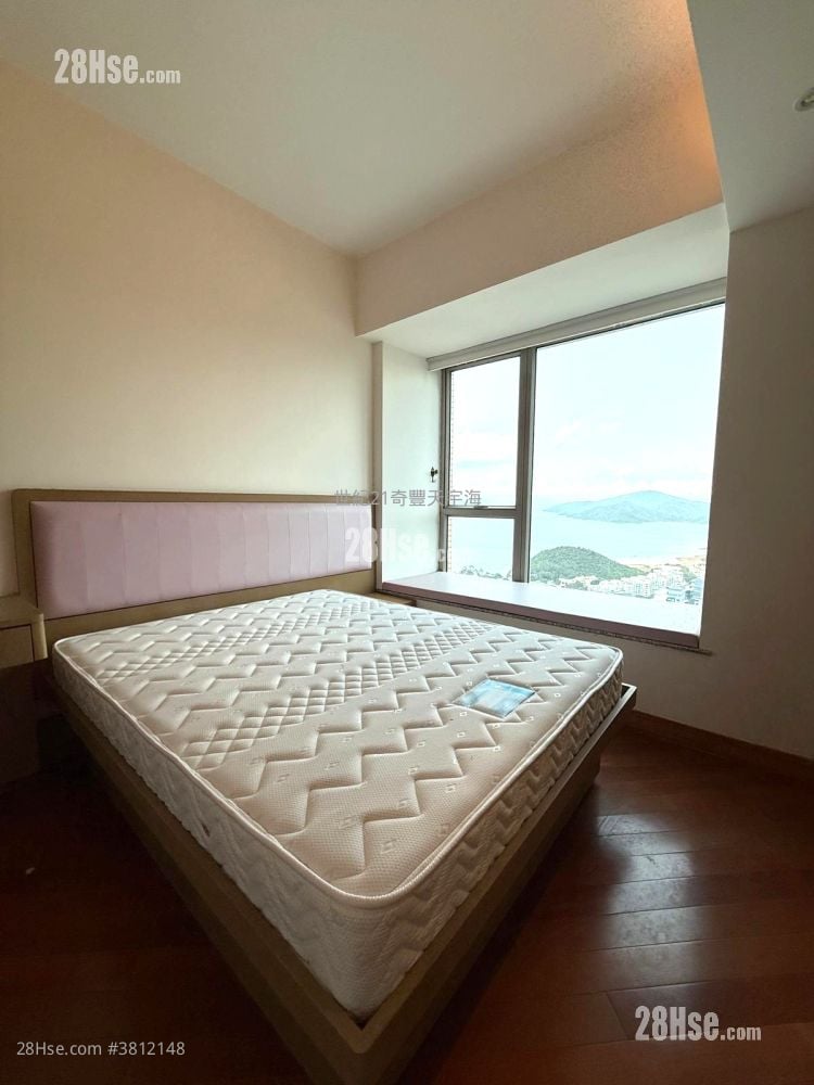 Jimmy豆生 63460809