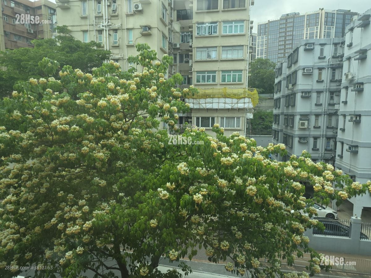 Jade Court Rental 3 Bedrooms , 2 Bathrooms 661 ft²