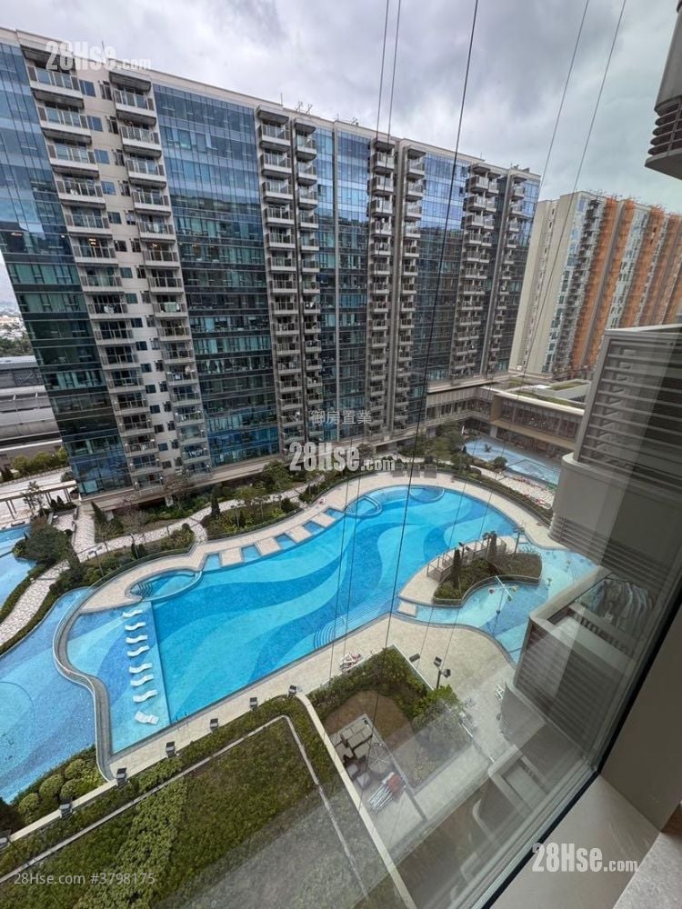 柏珑 租盘 2 房 , 1 浴室 479 平方尺