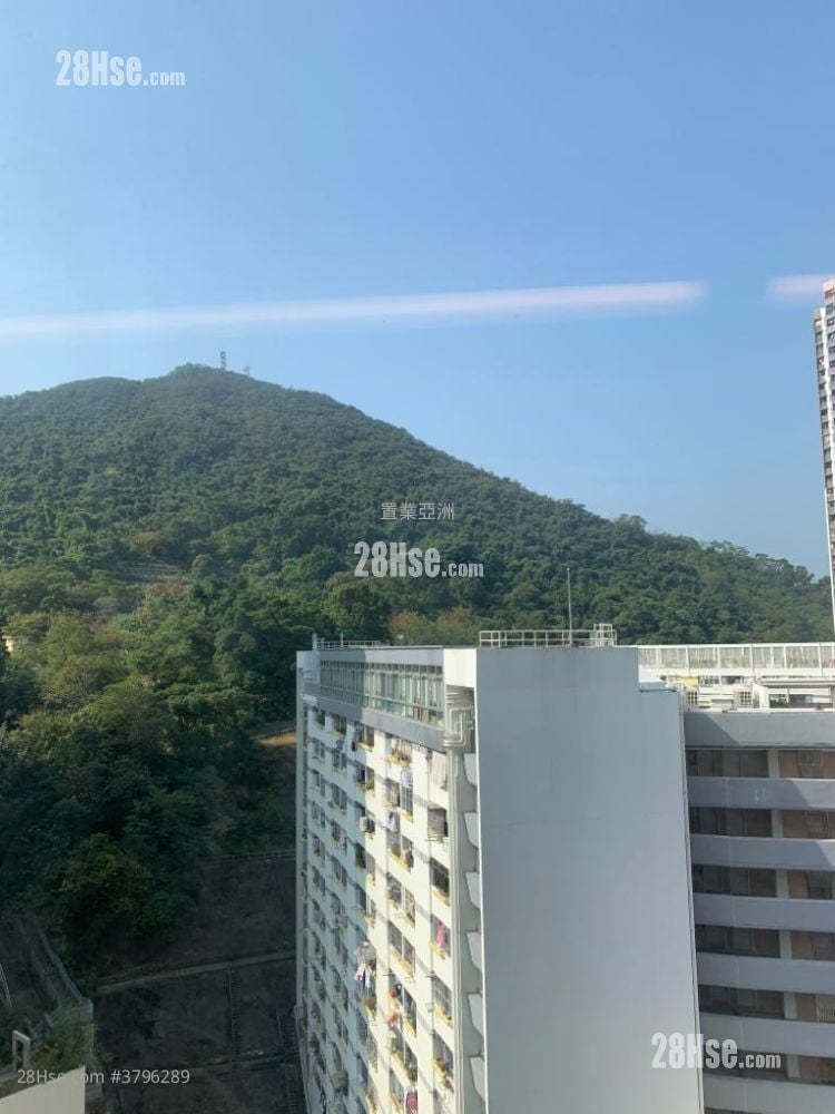 Smithfield Terrace Rental Studio , 1 Bathroom 221 ft²