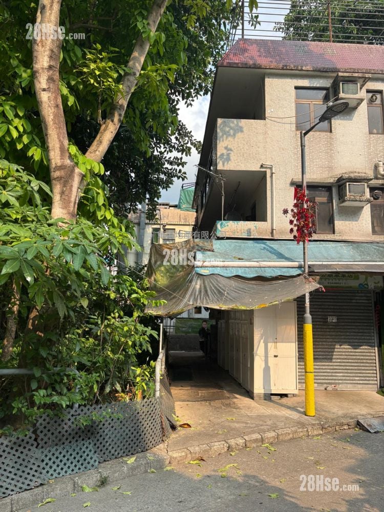 田心村(大围) 租盘 2 房 , 1 浴室