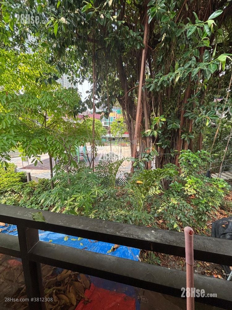 田心村(大围) 租盘 2 房 , 1 浴室