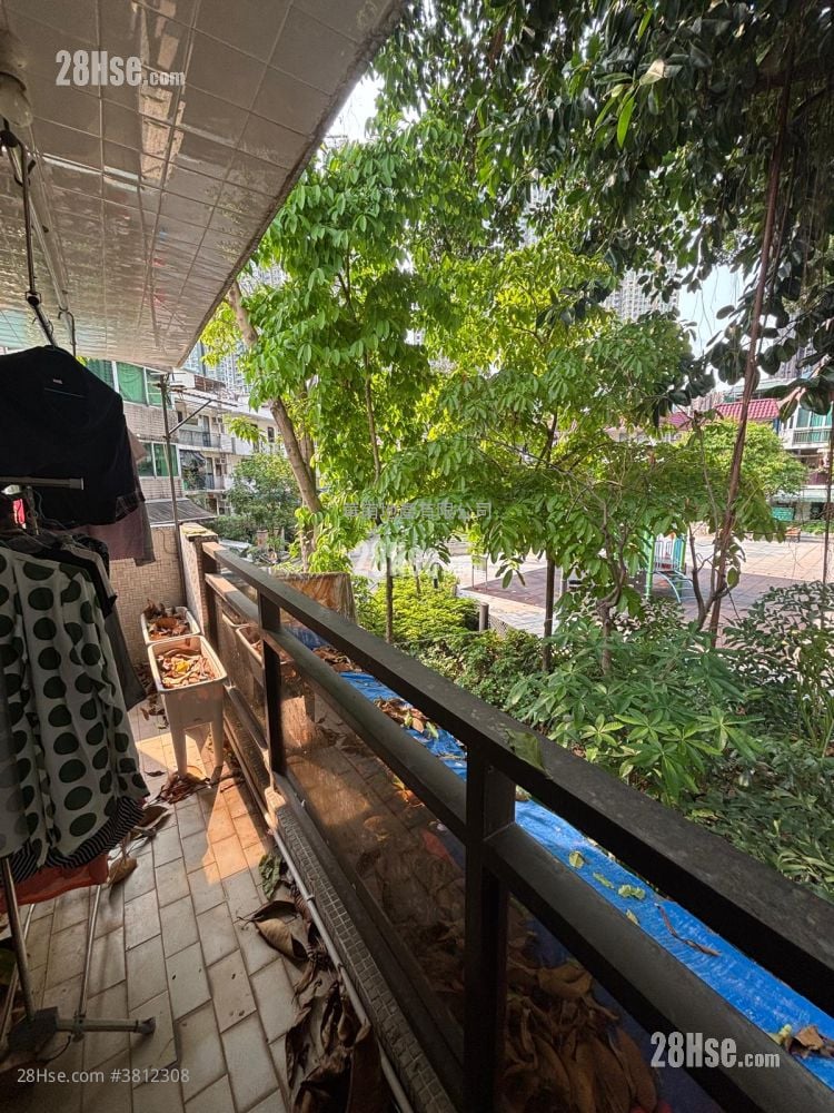 田心村(大围) 租盘 2 房 , 1 浴室