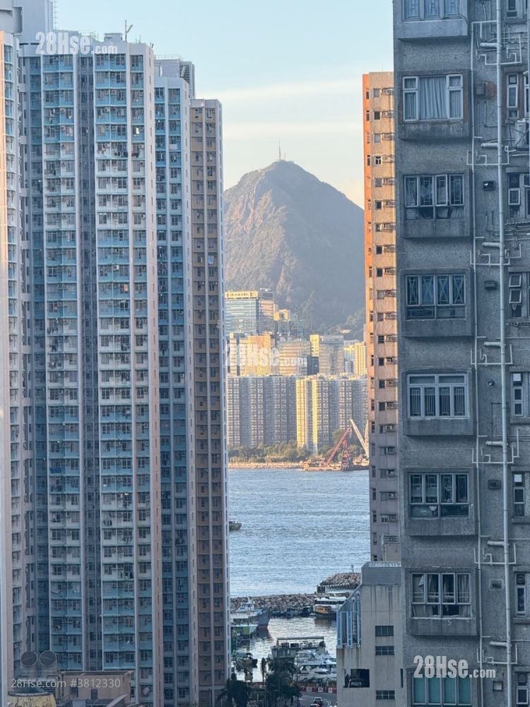 形荟 租盘 开放式间隔 318 平方尺