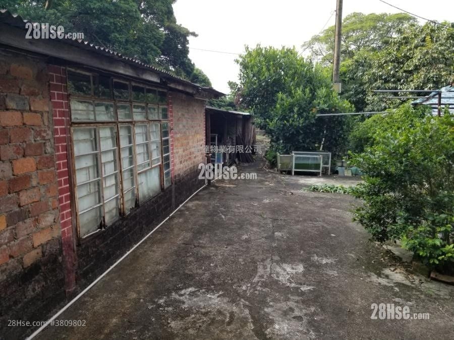 土地 售盘 18,000 平方尺