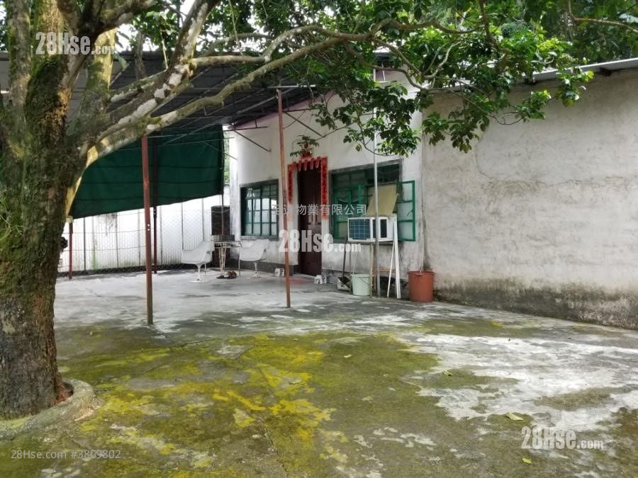 土地 售盘 18,000 平方尺