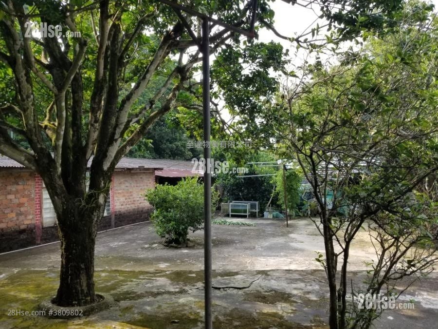 土地 售盘 18,000 平方尺