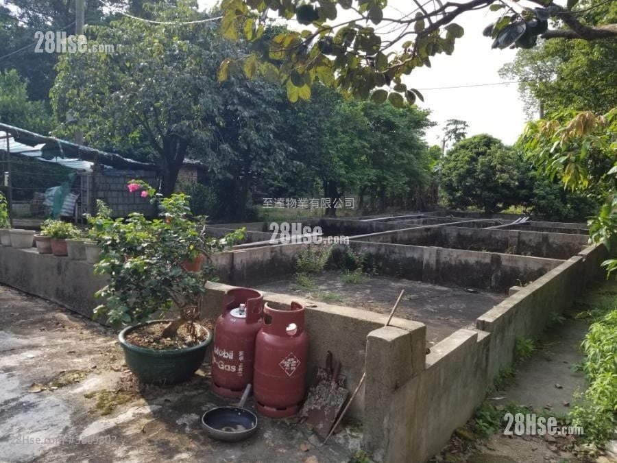 土地 售盘 18,000 平方尺