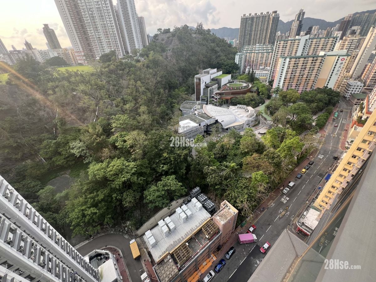 高山18 租盘 1 房 , 1 浴室 318 平方尺