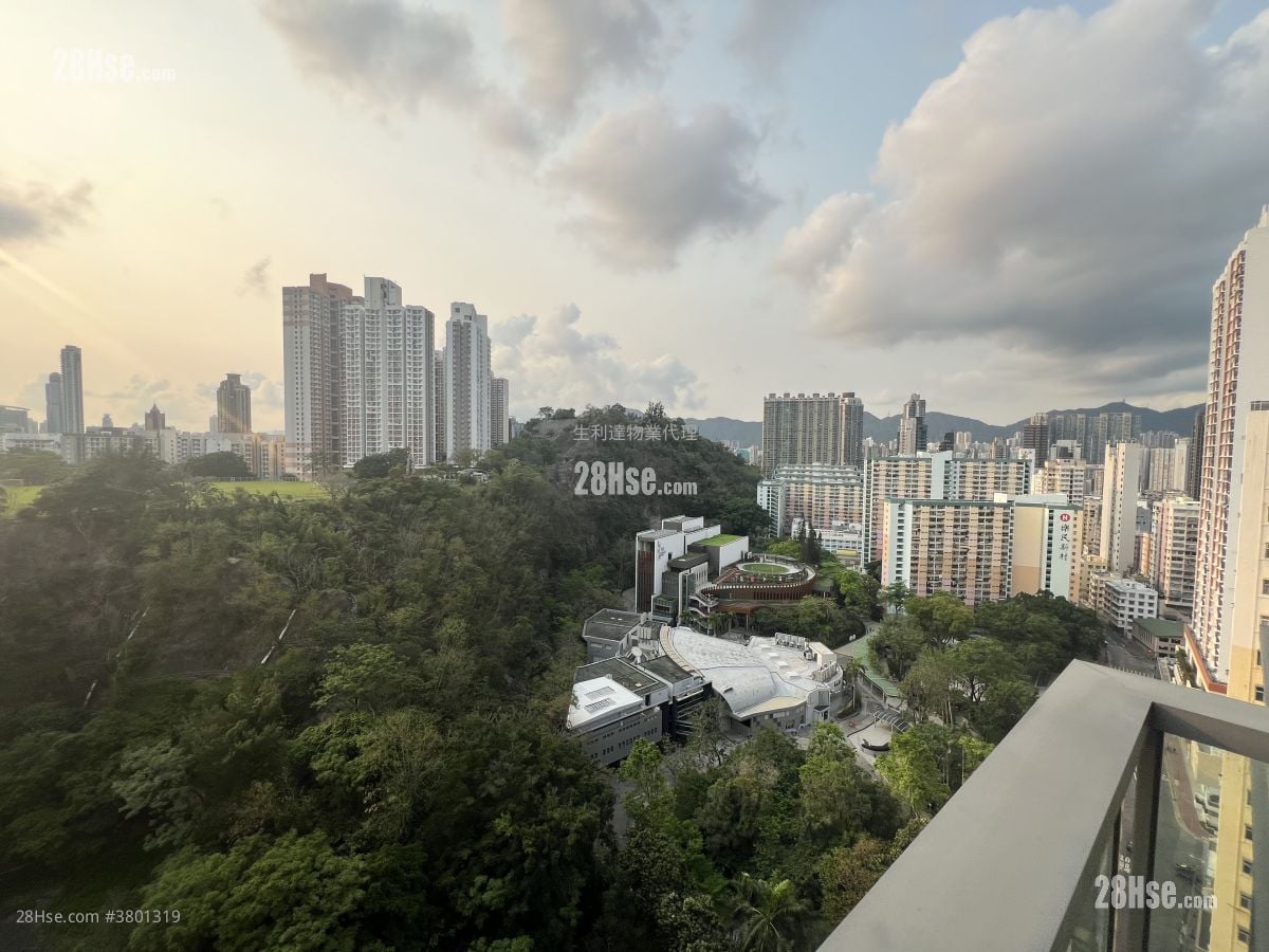 高山18 租盘 1 房 , 1 浴室 318 平方尺