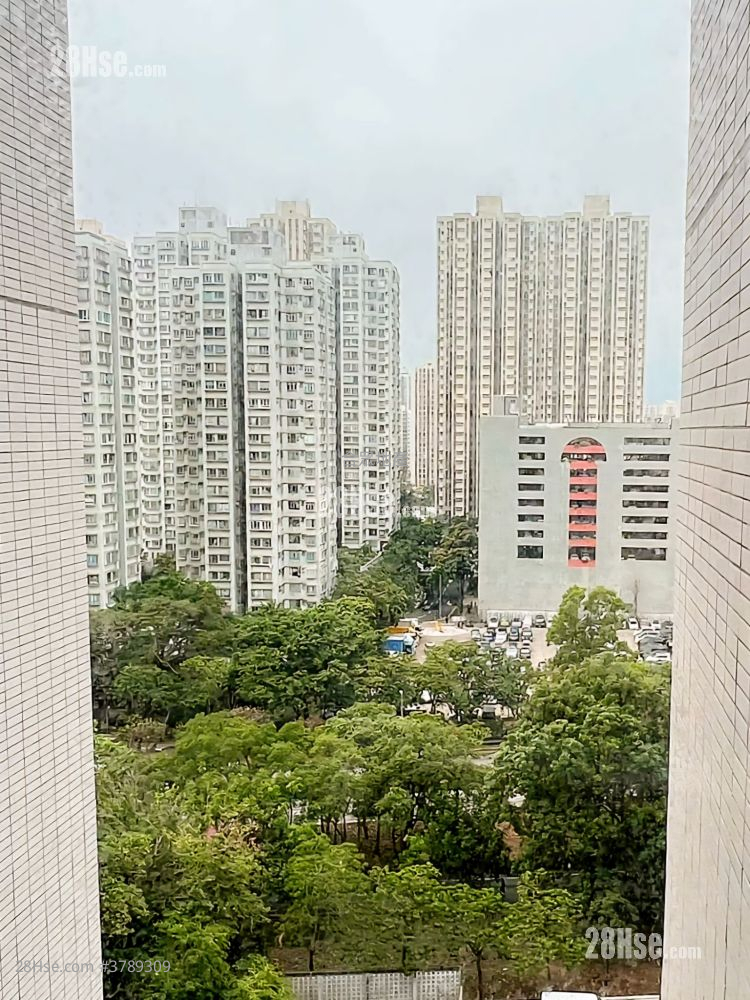 Sun Hing Garden Sell 426 ft²