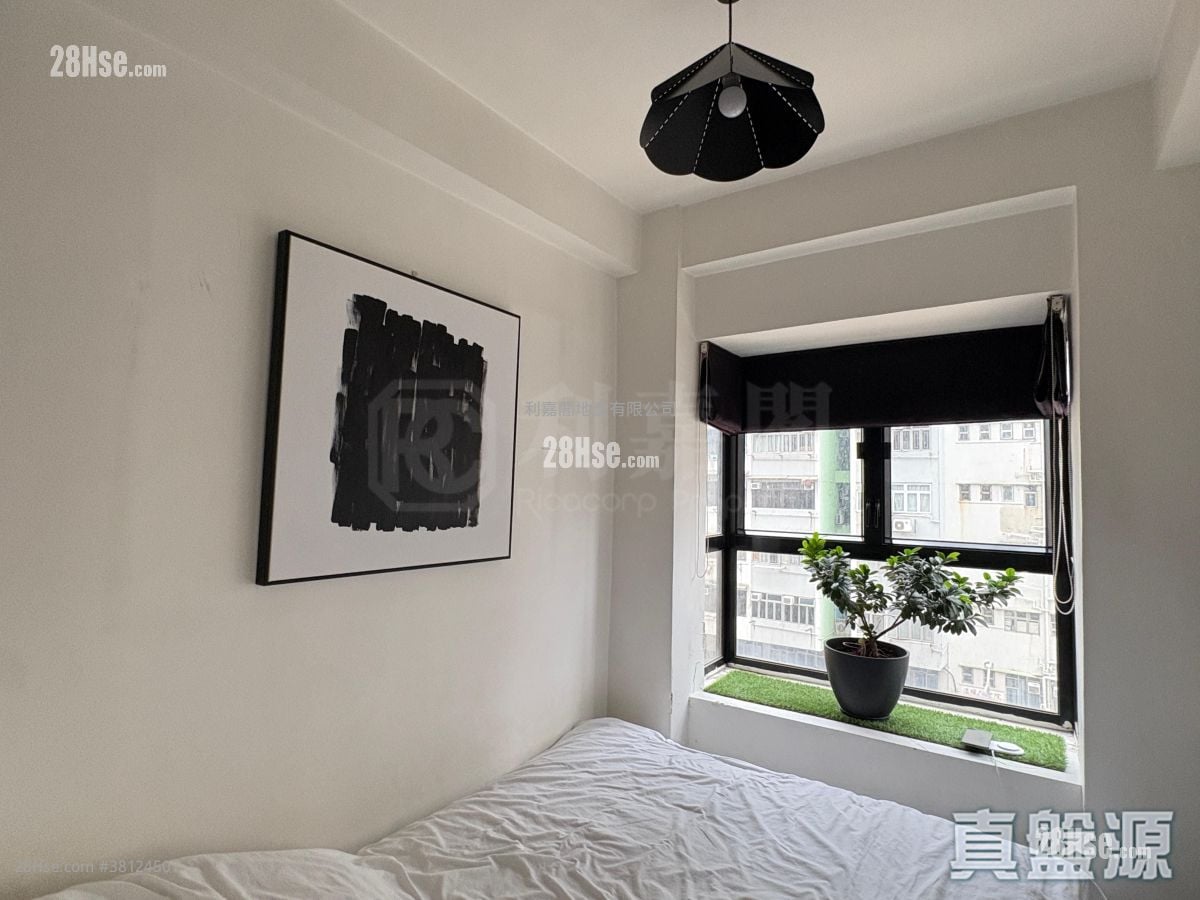 Comfort Court Sell 236 ft²