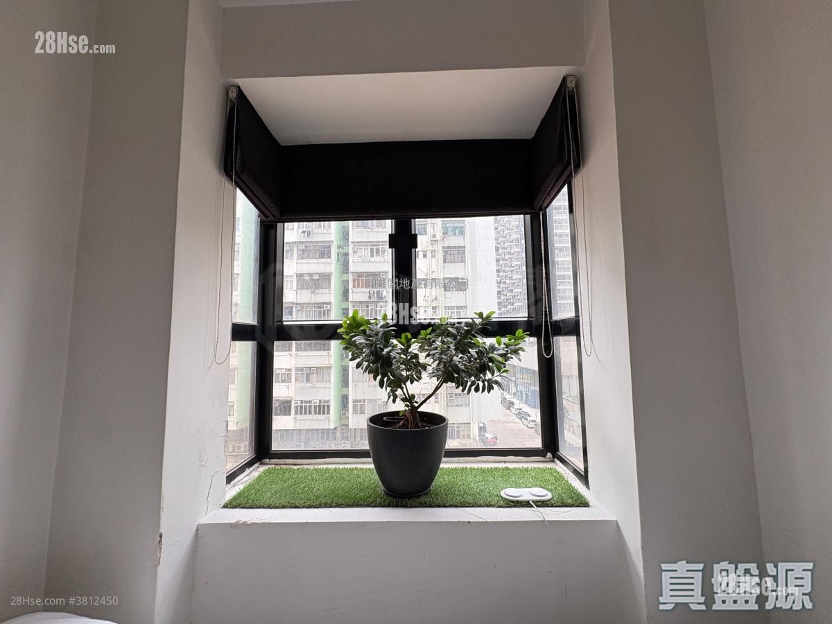 Comfort Court Sell 236 ft²