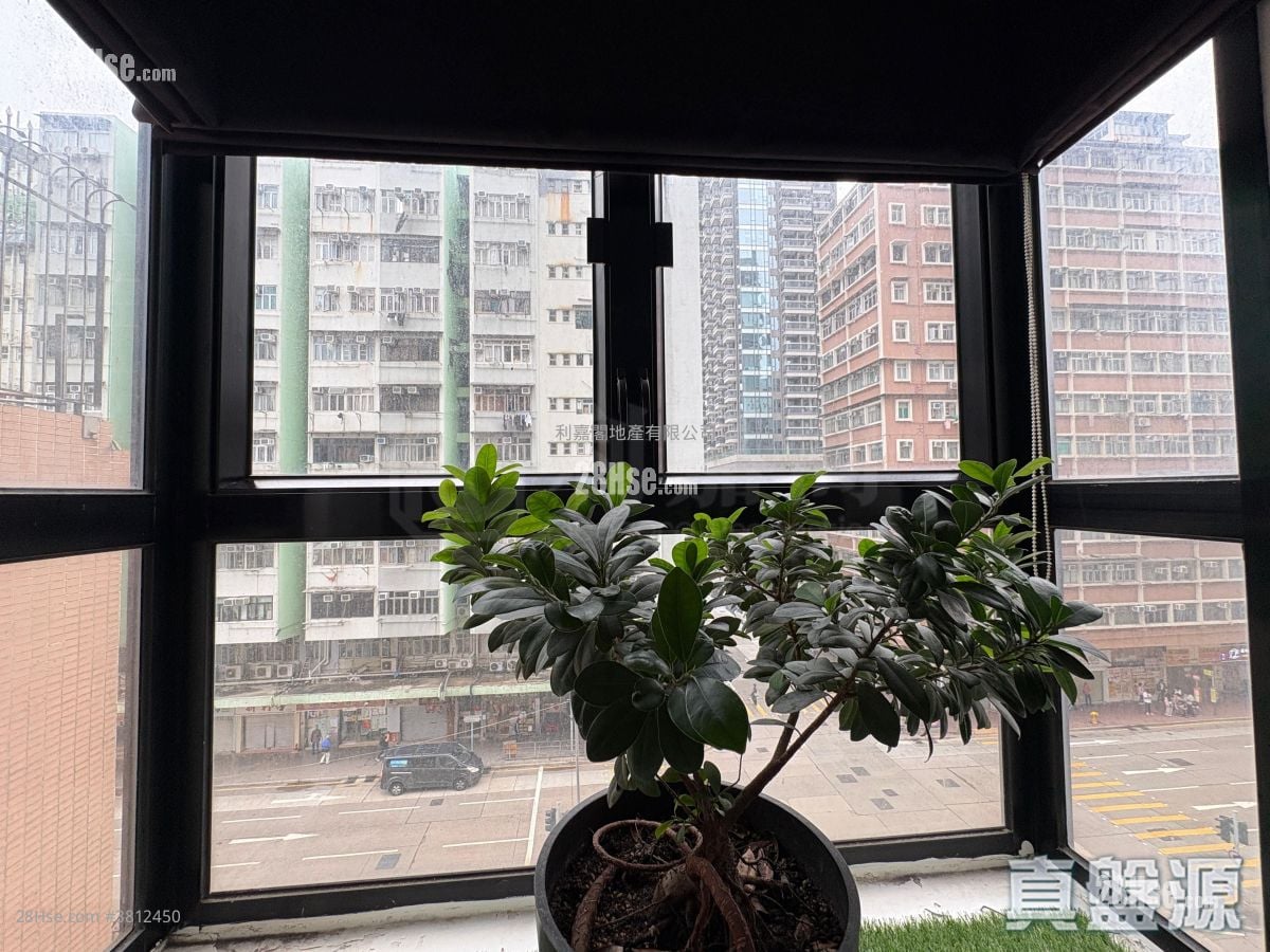 Comfort Court Sell 236 ft²