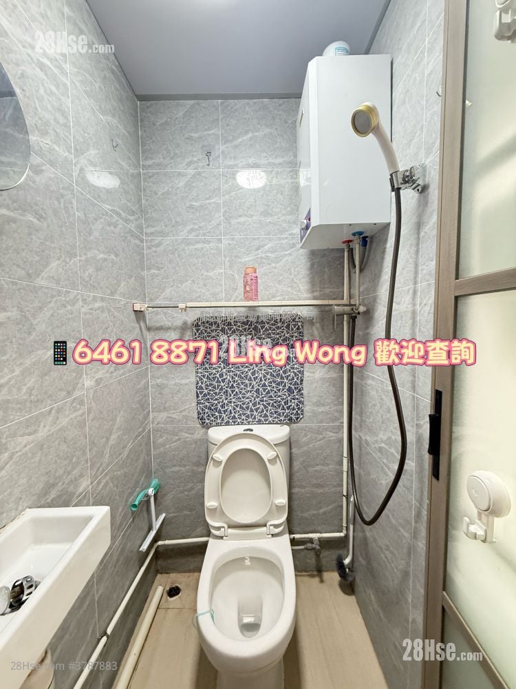 单幢楼房 租盘 开放式间隔 , 1 浴室 150 平方尺