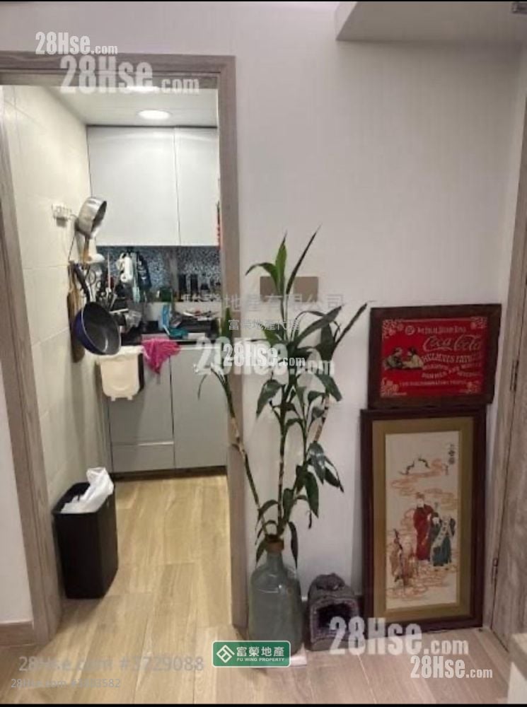 Paradise Square Sell 1 Bedroom , 1 Bathroom 368 ft²