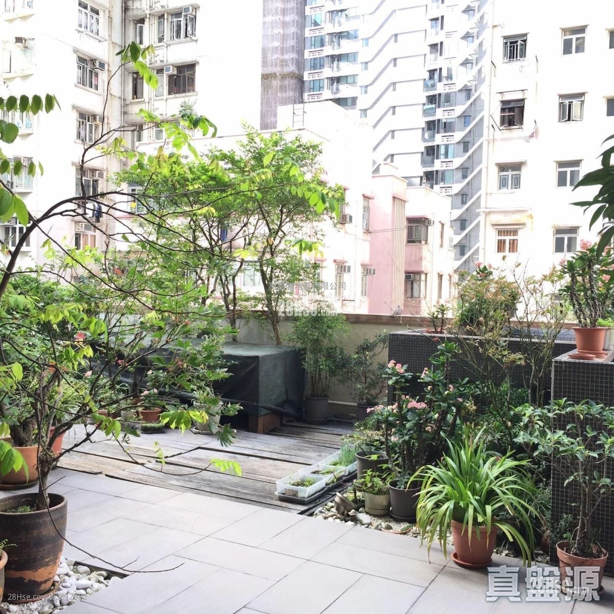 博仕台 售盘 3 房 , 2 浴室 602 平方尺