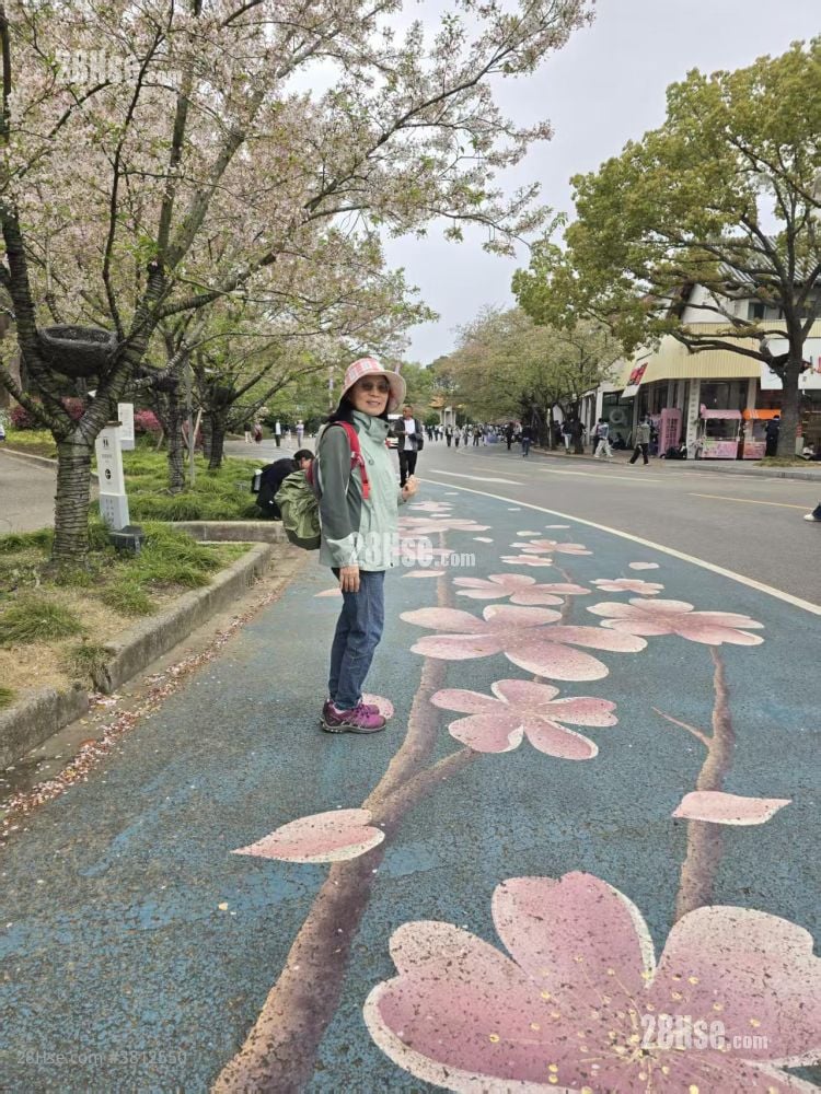 新都城 租盘 3 房 , 2 浴室 526 平方尺