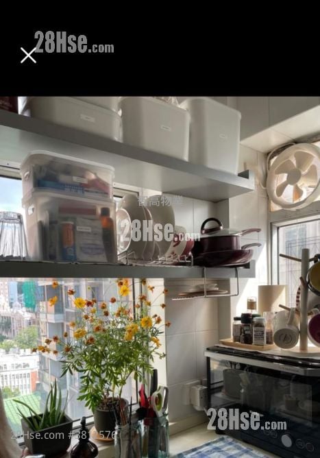 Ka Fai Court Sell Studio , 1 Bathroom 323 ft²