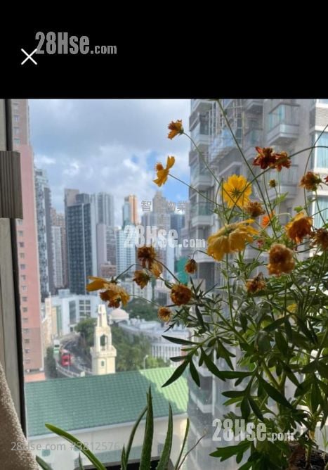 Ka Fai Court Sell Studio , 1 Bathroom 323 ft²