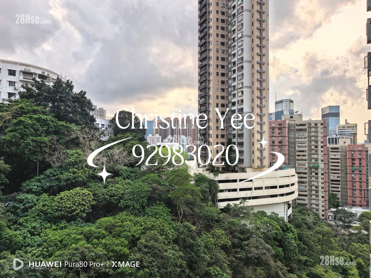 Y.i. Rental 2 Bedrooms , 1 Bathroom 496 ft²