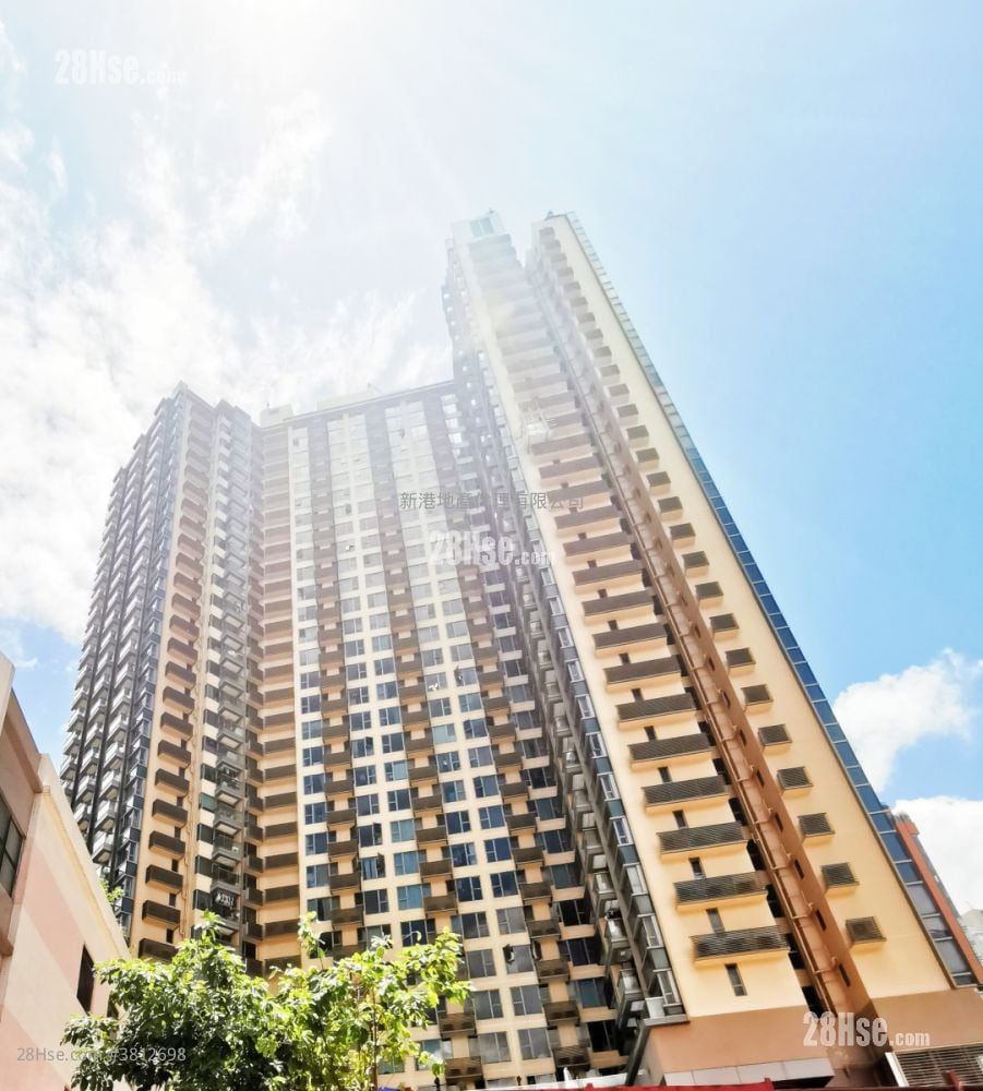 环海东岸 租盘 开放式间隔 , 1 浴室 229 平方尺