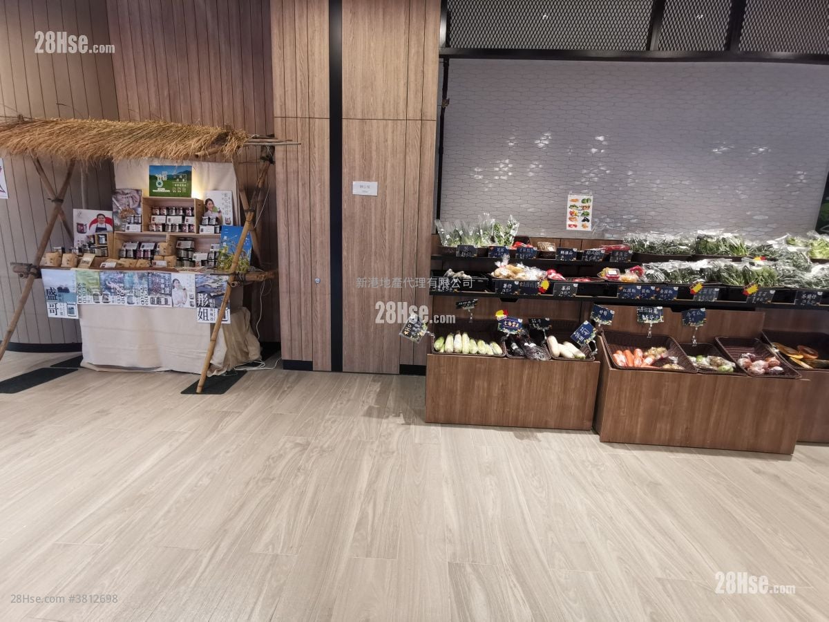 环海东岸 租盘 开放式间隔 , 1 浴室 229 平方尺